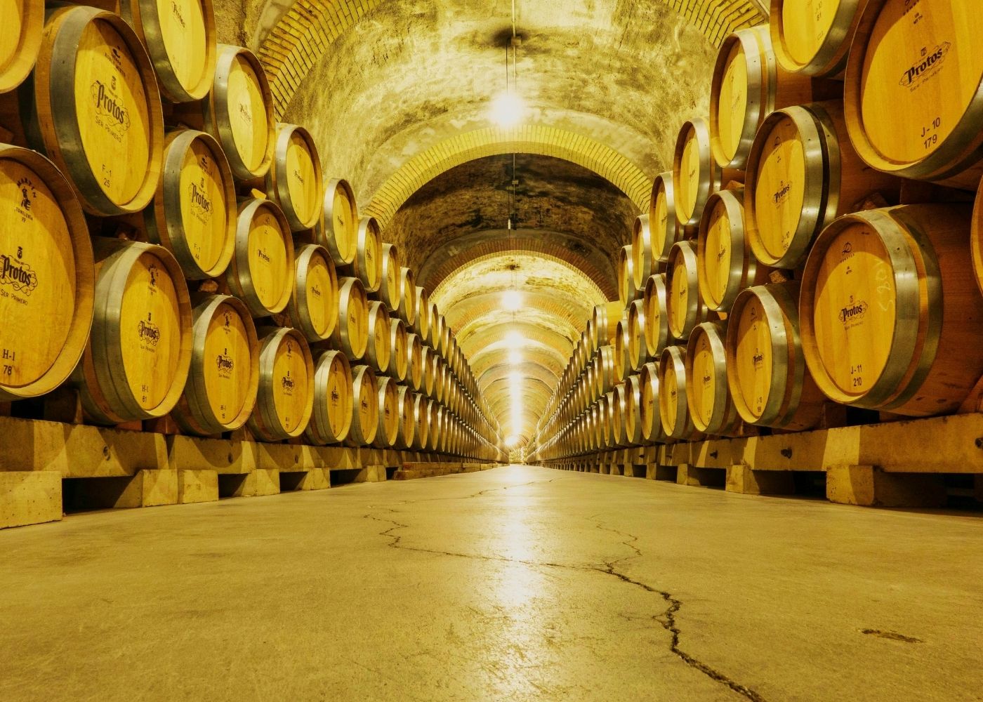 Biosolutions & Fermentation